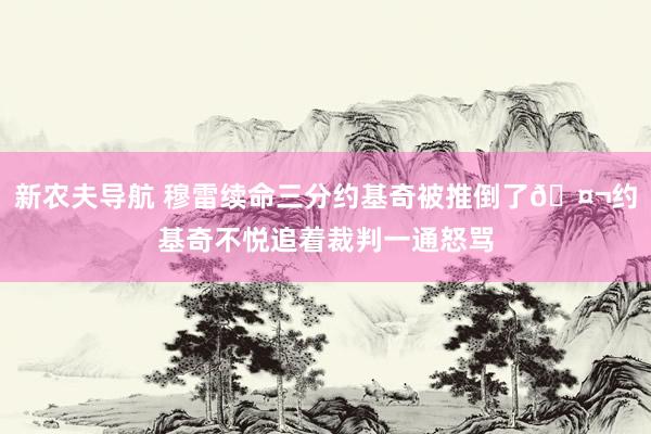 新农夫导航 穆雷续命三分约基奇被推倒了🤬约基奇不悦追着裁判一通怒骂