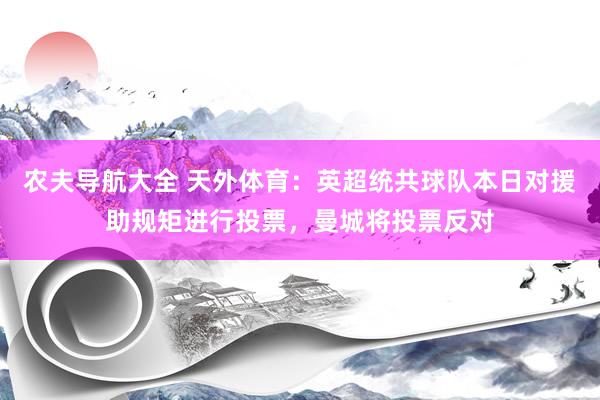 农夫导航大全 天外体育：英超统共球队本日对援助规矩进行投票，曼城将投票反对