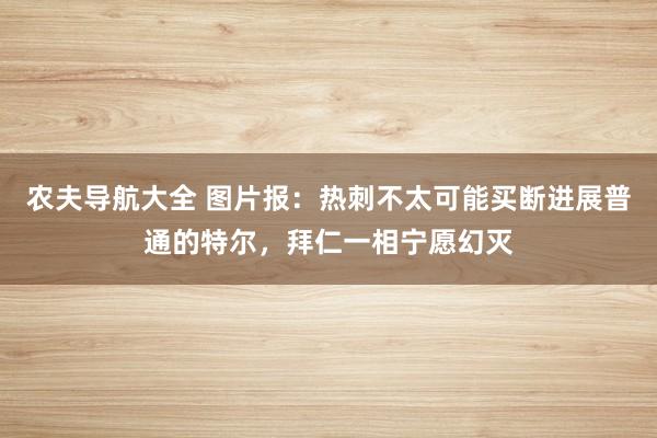 农夫导航大全 图片报：热刺不太可能买断进展普通的特尔，拜仁一相宁愿幻灭